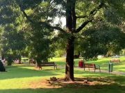 Via Rizzo, arrivano Esercito e Polizia Provinciale per pattugliare il parco