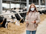 Giovani e agricoltura, a Brescia fondi reigonali a 229 aziende