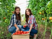 8 marzo: Coldiretti, oltre 200 mila donne in campi e stalle