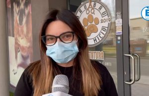 Toelettature: Eleonora Pola, “in un anno non è cambiato niente. Chiusi perché considerati parrucchieri”