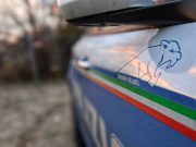 Scatena una lite e fugge, la Polizia lo trova con 40 grammi di droga