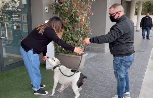 Riaprono anche in zona rossa le toelettature