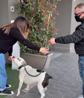 Riaprono anche in zona rossa le toelettature