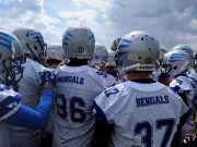 Bengals Brescia, buona la prima. A Ferrara è vittoria 30-26