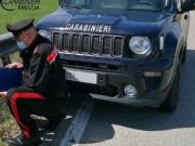 Offlaga, 77enne muore travolto da un albero