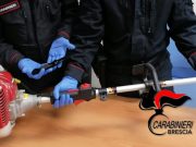 Taglia l’erba con la musica alta: scoppia la lite. Come armi decespugliatore e coltello