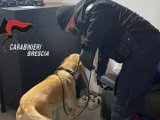 Blitz dei Carabinieri, pusher si lancia dalla finestra