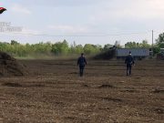 Fanghi inquinati, Coldiretti: “Incentivare concimi naturali”