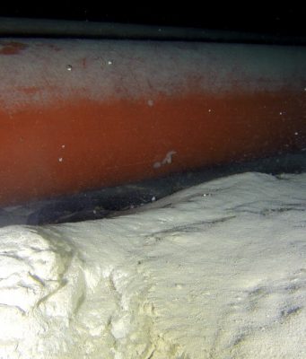 Depuratore del Garda: entro fine luglio la scelta