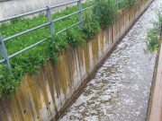 Trovata la fonte dell’inquinamento nel vaso Cucca di Bagnolo