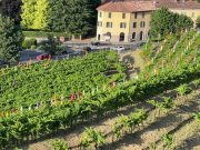 Monte Rossa e il vigneto nel centro storico di Brescia, primato europeo