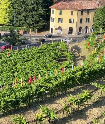 Monte Rossa e il vigneto nel centro storico di Brescia, primato europeo