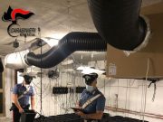 Rubava energia elettrica per alimentare una due serre di marijuana