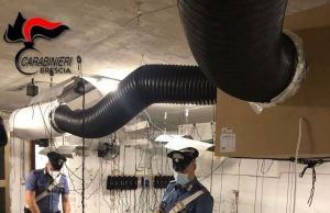 Rubava energia elettrica per alimentare una due serre di marijuana