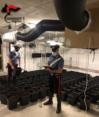 Rubava energia elettrica per alimentare una due serre di marijuana