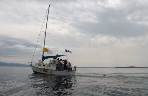 Goletta dei laghi: sul Garda bresciano 5 punti inquinati su 7