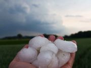 Confagricoltura: “Conta dei danni del maltempo ma serve una gestione del rischio”