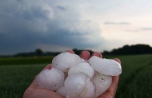 Confagricoltura: “Conta dei danni del maltempo ma serve una gestione del rischio”