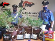Isorella, coltivava marijuana a casa. Denunciato