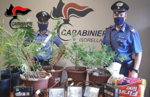 Isorella, coltivava marijuana a casa. Denunciato