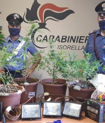 Dentro il locale caldaia una mini serra di marijuana