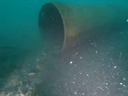 WWF Bergamo-Brescia: “Maxi scarico nel Lago di Garda”