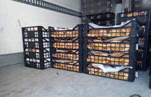 Trasportavano carne al caldo. Multati