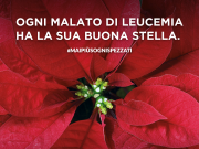 3-4-5 dicembre torna l’AIL (anche) nel bresciano