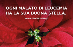 3-4-5 dicembre torna l’AIL (anche) nel bresciano