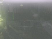 Digos, “un bresciano tra gli amministratori della chat no vax no green pass”