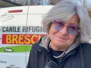 Canile rifugio, riportati gli animali adottati nel lockdown