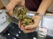 Malta, approva riforma per cannabis a uso personale