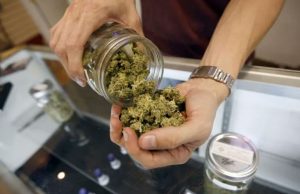 Malta, approva riforma per cannabis a uso personale