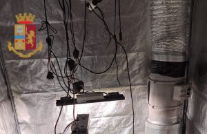 Ferita chiama la Polizia, ma in casa coltiva marijuana