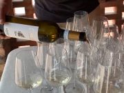 Un bando per valorazzare il turismo agricolo lombardo