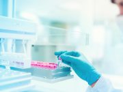 Ema: “Vaccini sicuri in gravidanza e quarta dose ai fragili”