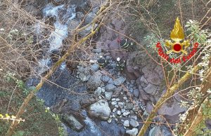 Scappa per paura dei botti, salvato un cane