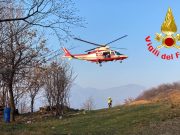 Cane disperso da giorni, recuperato dai soccorritori