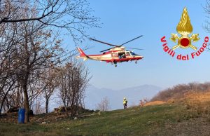 Cane disperso da giorni, recuperato dai soccorritori