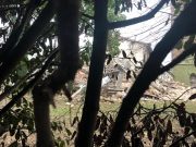 Crolla una torre a Ludriano, nessun ferito