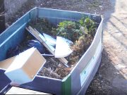 Getta i mobili nel greenbox: foto e multa “salata”