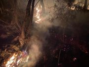 Due incendi in poche ore a Botticino, il primo è spento