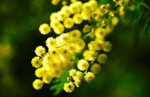 Torna la maratona di lettura per la festa della donna