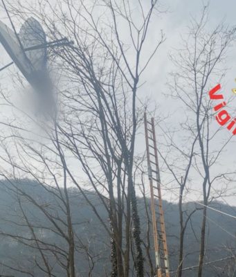 Salvato deltaplanista bloccato sulla chioma di un albero