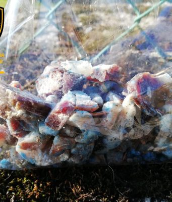 Esche killer a Gardone. Ci pensa il cane poliziotto Sole