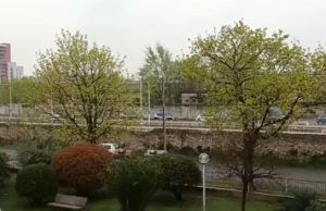 Nuovo sgombero all’ex Ideal, 12 abusivi in Questura