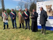 125 anni, 125 alberi per Ghedi con Bcc Agrobresciano