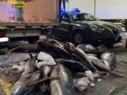 1.500 chili di tonno sequestrati dalla Finanza