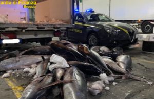 1.500 chili di tonno sequestrati dalla Finanza