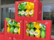 CdQ Don Bosco e Nuovo Flaminia, una Pasqua solidale